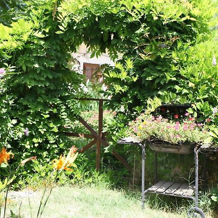 Bozena Studio Kneb Portorož Exterior foto